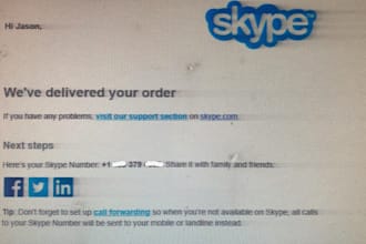 provide USA skype number to make free calls with private number anywhere