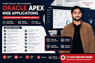 develop and customize oracle apex applications for you