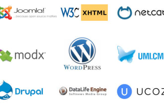 migrate your site to wordpress