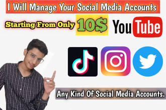manage your social media accounts twitter tiktok  instagram youtube manager