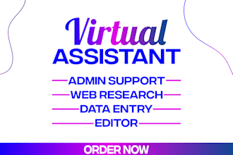 be your admin support virtual assistant for data entry and web research