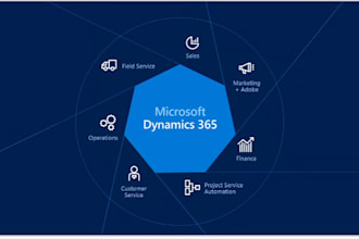 customize your microsoft CRM dynamic 365 as per your tasks