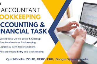 be your accountant to handle your financial task and bookkeeping work