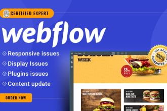 edit, fix, or update your webflow website