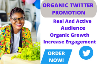 do super fast organic promotion twitter tweet grow engagement