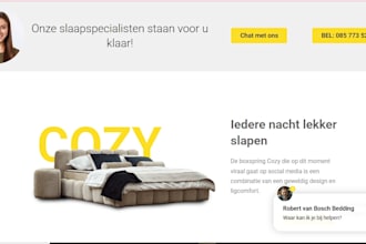 build wordpress ecommerce website