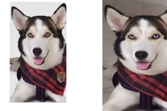 remove background, white, delete, transparent in photoshop