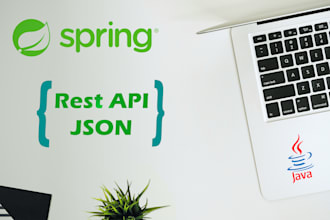 do java, rest api, spring boot, spring mvc projects and task