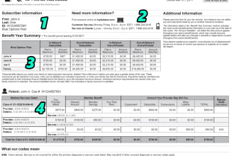 provide medical billing services, charges and payment posting services