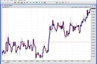teach you financial freedom through Forex Trading