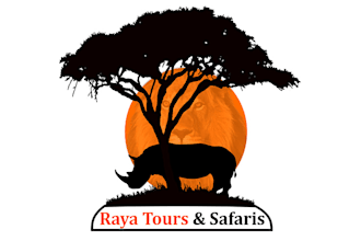 make something special and unique sensational logo