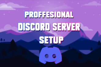 professionally set up discord server for you
