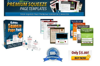 give 180 Professionally Designed Squeezepage  That Will CONVERT Your Visitors
