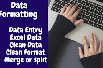 clean, organize, and merge your excel or CSV data