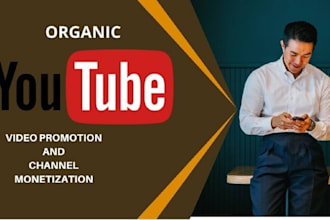super fast organic youtube promotion USA views video SEO video promotion views