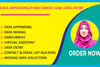 do data appending enrichment and data entry