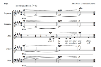 transcribe your music or any music score into sibelius