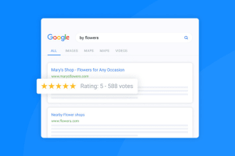 schema markup of star rating review website rich snippets