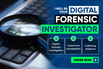 do digital forensics and cybercrime investigations