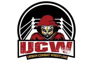 provide unique wrestling logo in 24 hours delivery