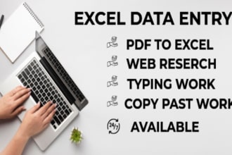 do excel data entry, web research, typing work or convert file