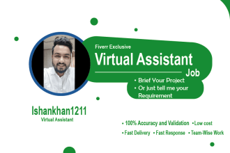excel data entry, web research, copy paste, manual typing