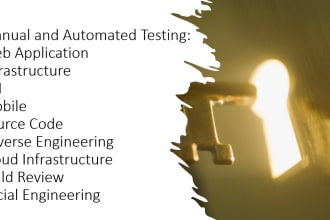 do penetration testing and write a report