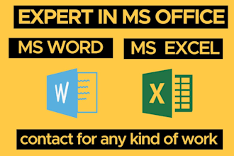 do professional typing service,retype any document