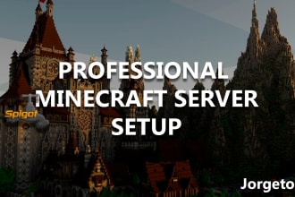 setup a professional minecraft server