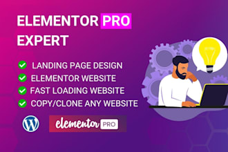 design or clone landing pages websites with elementor pro