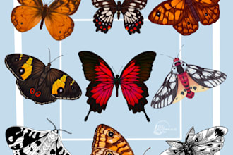 draw digital lineart illustrations of skulls, insects, animals