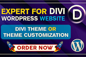 be your expert for wordpress divi, divi builder or divi theme