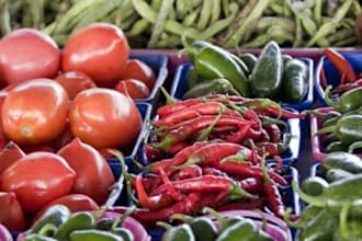 create healthy or special dietary recipes