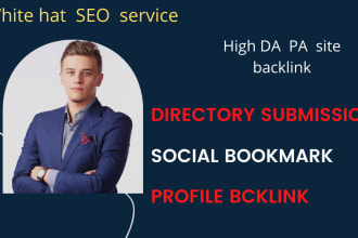 create 300 profile backlink and directory submission