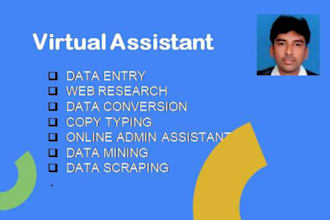 provide reliable ,fast and professional data entry services