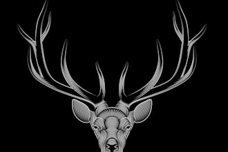 do modern update deer logo design
