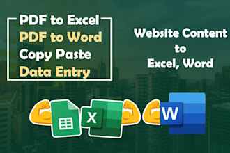convert PDF to excel, microsoft word, copy paste, data entry
