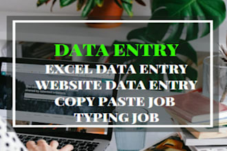 do data entry ,copypaste and typing job