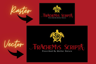 your vector tracing logo expert, sketch raster to vector redraw vectorize