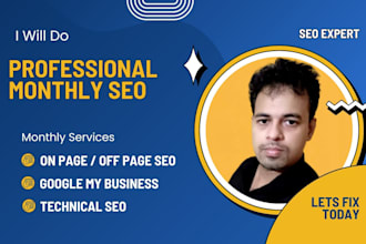 do professional monthly SEO
