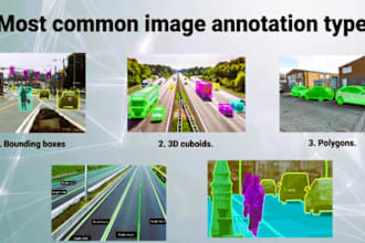 do data annotation,image annotation, data labelling,bounding boxes,or polygons