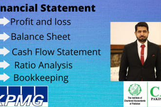 make financial statements,financial projection and forecast
