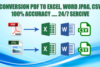 convert PDF to excel, PDF to word, copy paste, data entry