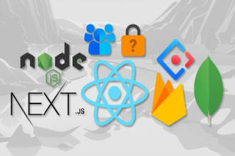 do react next js firebase or full stack development