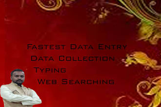 fastest data entry, data entry expert
