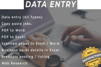 do any type of data entry, word conversion and doc editing