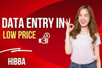 do data entry  in low price