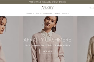 make clothing website or any fashion store for your business