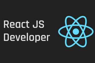 fix or develop web application with react, nextjs, vite