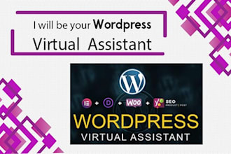 be your wordpress virtual assistent